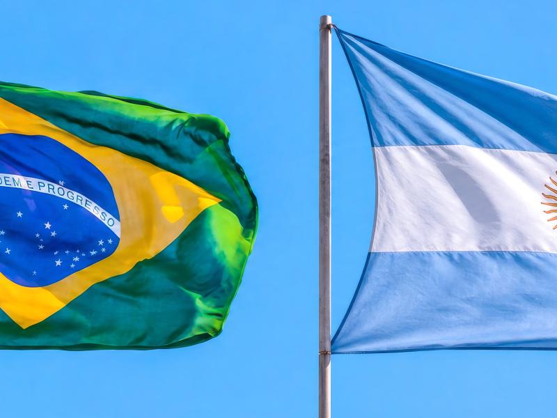 Imagem de CNTTL, ITF e entidades dos trabalhadores dos transportes repudiam declarações de Milei ao Brasil 
