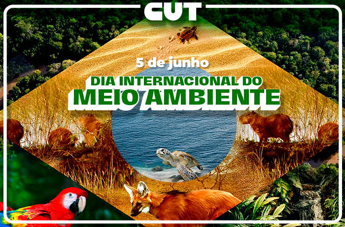 Imagem de Dia do Meio Ambiente foca na COP30 e na resistência ao PL da Devastação