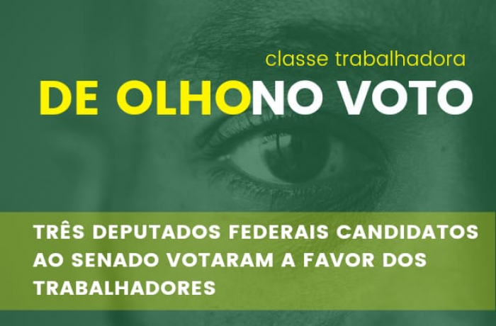 Imagem de Conheça os deputados federais candidatos ao Senado que votaram contra o trabalhador
