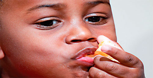 Imagem de ONU alerta sobre desperdícios no Dia Mundial da Alimentação

