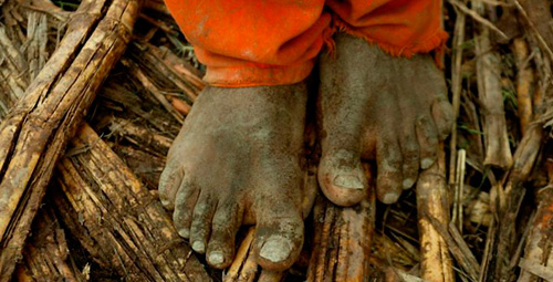 Imagem de Atividades celebrarão Combate ao Trabalho Escravo 