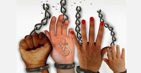 Imagem de Nova Campanha da CNBB visa combater o tráfico humano 