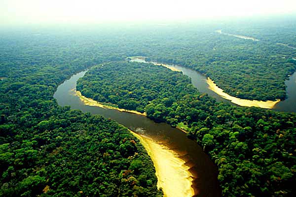 Imagem de Código Florestal: Conheça os vetos da presidenta Dilma Rousseff