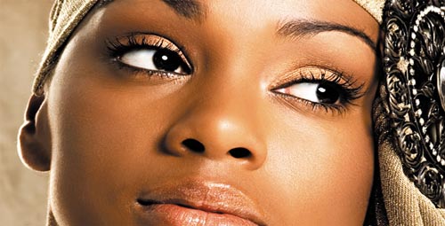 Imagem de SEPPIR promove seminário para debater o tema “Desenvolvimento e Mulher Negra”.