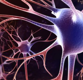 Imagem de Neurônios fabricados em laboratório vão ajudar a decifrar esquizofrenia