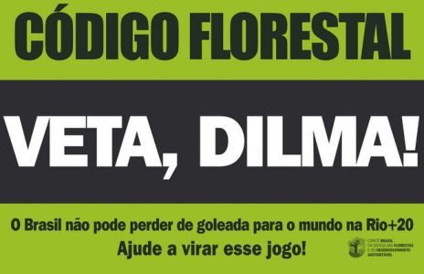 Imagem de Dilma decide vetar 12 itens e fazer 32 mudanças no Código Florestal Brasileiro