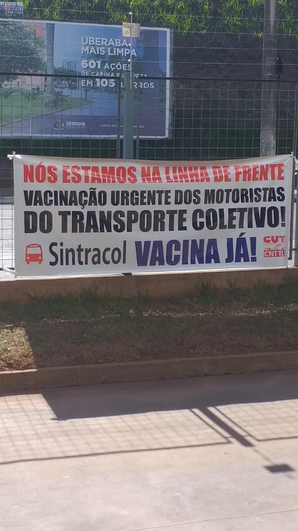Imagem de Minas Gerais: Motoristas do transporte coletivo de Uberaba iniciam paralisação em defesa da vacinação contra COVID-19