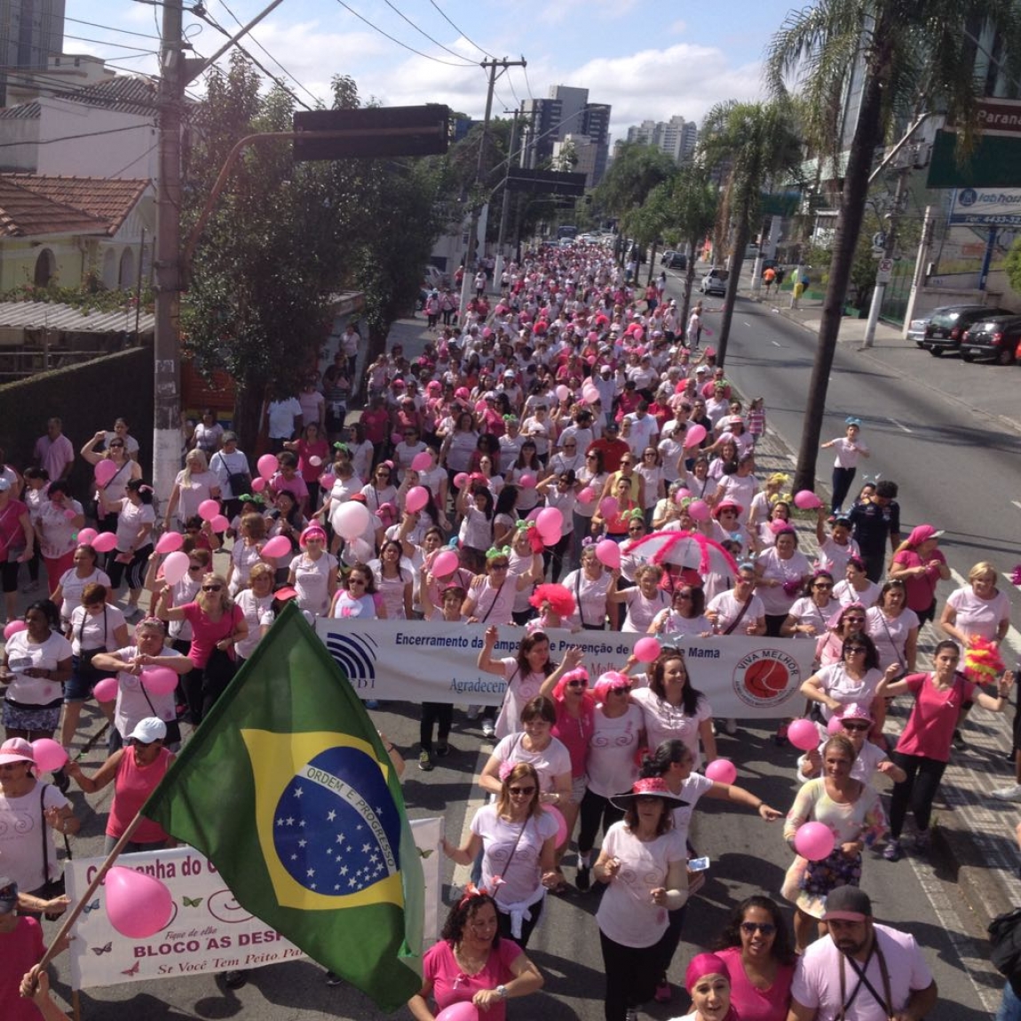 Imagem de Santo André: CNTTL participa da Caminhada do Outubro Rosa 